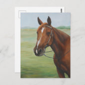 Quarter Horse Art Postkarte (Vorne/Hinten)