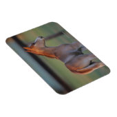 Quarter Horse Foal Magnet (Rechte Seite)
