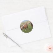 Quarter Horse Herd Stickers (Umschlag)