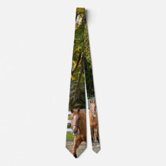 Quarter Horse Herren Krawatte