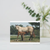 Quarter Horse Mare & Foal Postkarte (Stehend Vorderseite)
