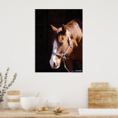 Quarter Horse Mare Großdruck Poster (Küche)