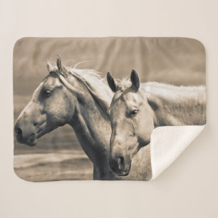 Quarter Horses auf kanadischer Prärie Sherpadecke