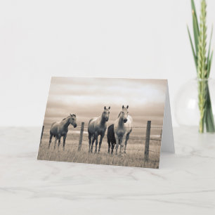 Quarter Horses in der kanadischen Prärie Karte
