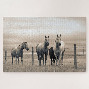 Quarter Horses in der kanadischen Prärie Puzzle