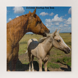 Quarter Horses Texas. Puzzle