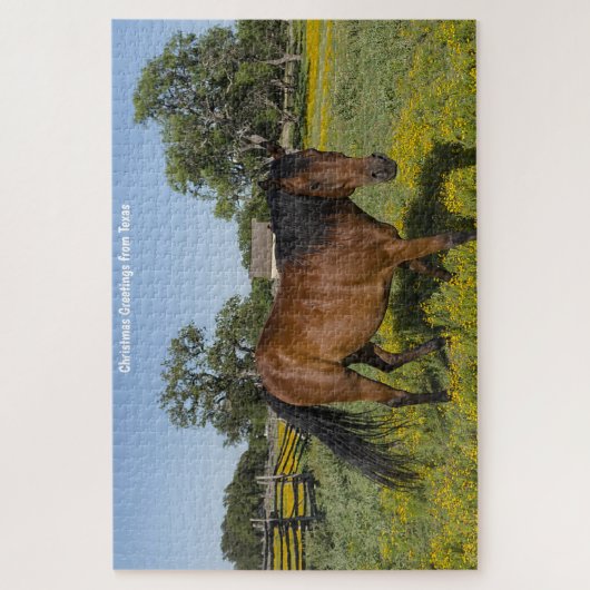 Quarter Pferde Texas. Jigsaw Puzzle (Vertikal)