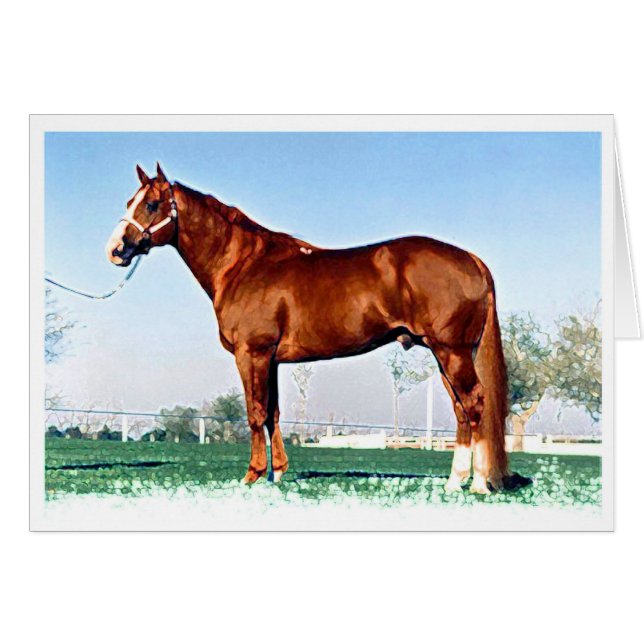 Quarterhorse (Vorderseite (Horizontal))