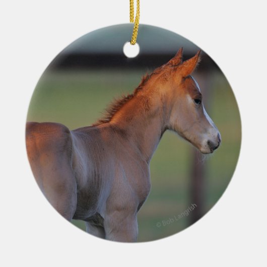 Quarterhorse-Fohlen Keramikornament (Vorne)