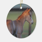 Quarterhorse-Fohlen Keramikornament (Links)