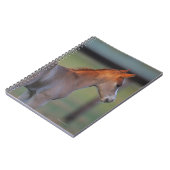 Quarterhorse-Fohlen Notizblock (Linke Seite)