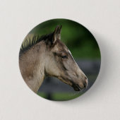 Quarterhorse-FohlenHeadshot Button (Vorderseite)