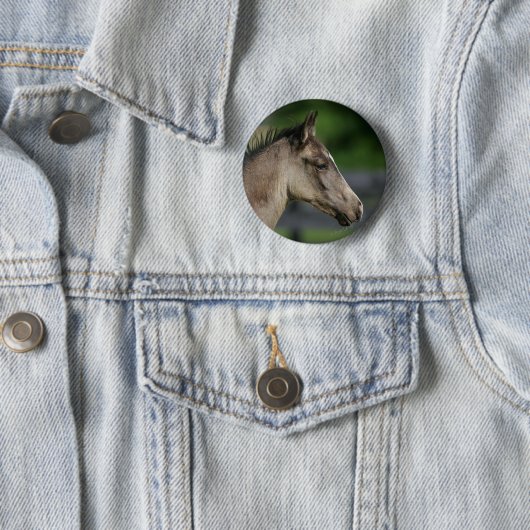 Quarterhorse-FohlenHeadshot Button (Beispiel)