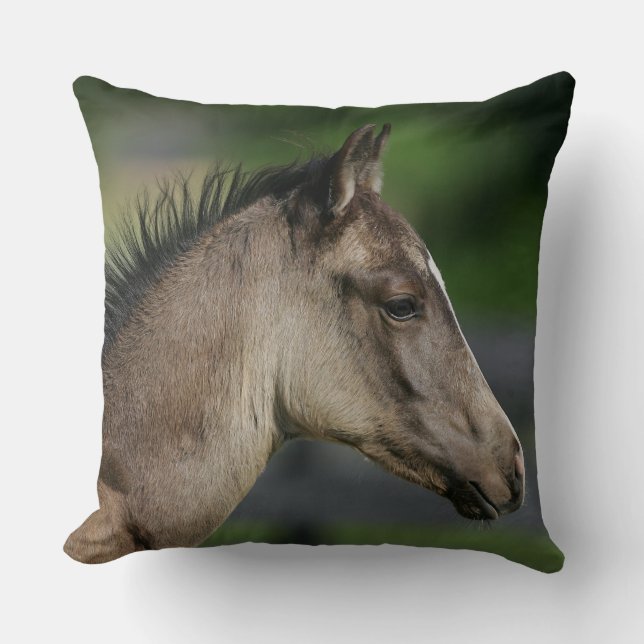 Quarterhorse-FohlenHeadshot Kissen (Vorderseite)