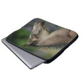 Quarterhorse-FohlenHeadshot Laptopschutzhülle (Vorne Knopf)