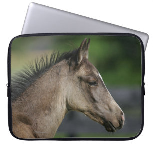 Quarterhorse-FohlenHeadshot Laptopschutzhülle