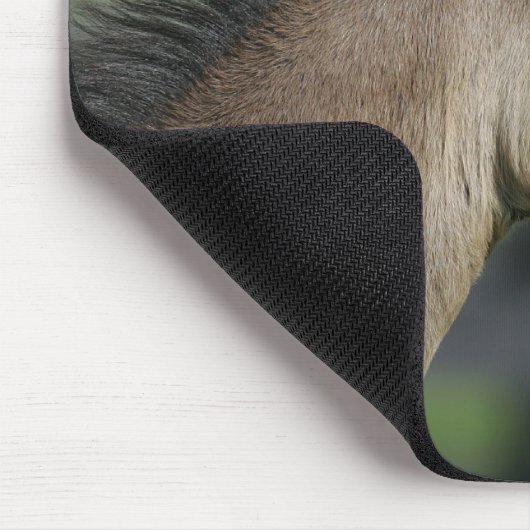 Quarterhorse-FohlenHeadshot Mousepad (Ecke)