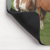 Quarterhorse-Herden-Mausunterlage Mousepad (Ecke)