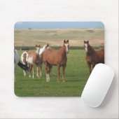 Quarterhorse-Herden-Mausunterlage Mousepad (Mit Mouse)
