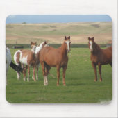Quarterhorse-Herden-Mausunterlage Mousepad (Vorne)