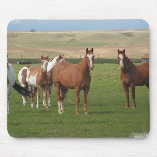 Quarterhorse-Herden-Mausunterlage Mousepad (Vorne)
