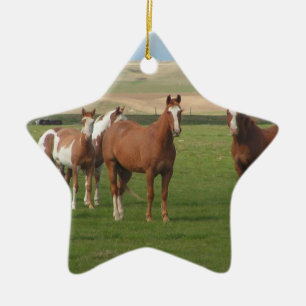 Quarterhorse-Herden-Verzierung Keramik Ornament