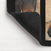 Quarterhorse Mousepad (Ecke)