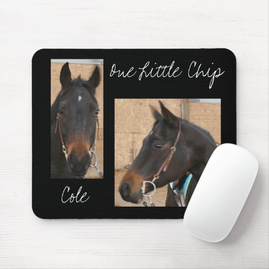 Quarterhorse Mousepad (Mit Mouse)