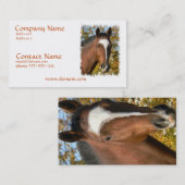 Quarterhorse-Visitenkarte Visitenkarte (Vorne/Hinten)