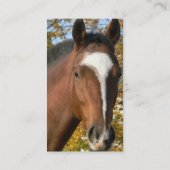 Quarterhorse-Visitenkarte Visitenkarte (Rückseite)