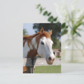 Quarterpferd Postkarte (Stehend Vorderseite)