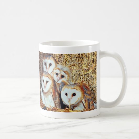Quartett der Schleiereulen Kaffeetasse (Rechts)