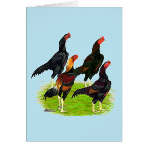 Quartett "Oriental Game Fowl"