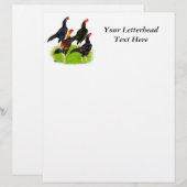 Quartett "Oriental Game Fowl" (Vorne/Hinten)