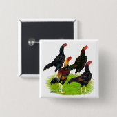 Quartett "Oriental Game Fowl" Button (Vorne & Hinten)