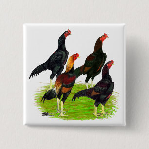 Quartett "Oriental Game Fowl" Button