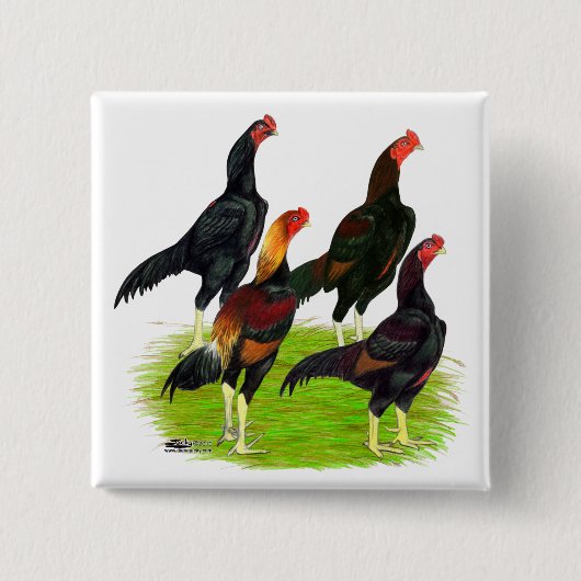 Quartett "Oriental Game Fowl" Button (Vorderseite)