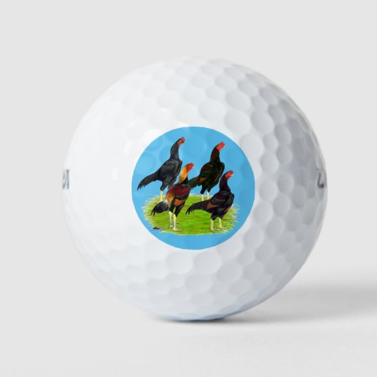 Quartett "Oriental Game Fowl" Golfball (Vorderseite)