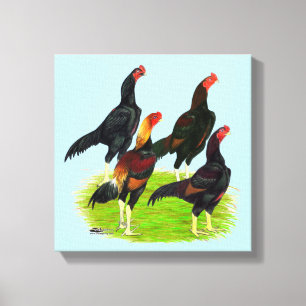 Quartett "Oriental Game Fowl" Leinwanddruck
