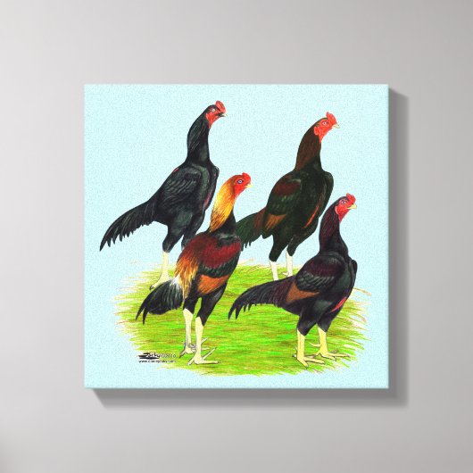 Quartett "Oriental Game Fowl" Leinwanddruck (Vorderseite)