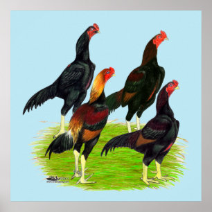 Quartett "Oriental Game Fowl" Poster