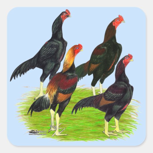 Quartett "Oriental Game Fowl" Quadratischer Aufkleber (Vorderseite)