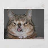 Quasi Postkarte (Vorderseite)