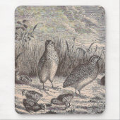 Quatsch Mousepad (Vorne)