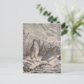 Quatsch Postkarte (Stehend Vorderseite)