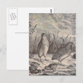 Quatsch Postkarte (Vorne/Hinten)