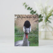 Quatsch! Postkarte (Stehend Vorderseite)