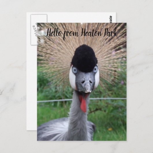 Quatsch! Postkarte (Vorne/Hinten)