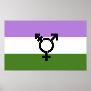 Que - Geschlechtsspezifischer Queer Stolz Poster