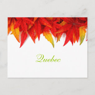 Quebec Autumn Leaves Postcard Postkarte